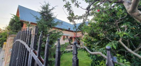 Vila Vasile
